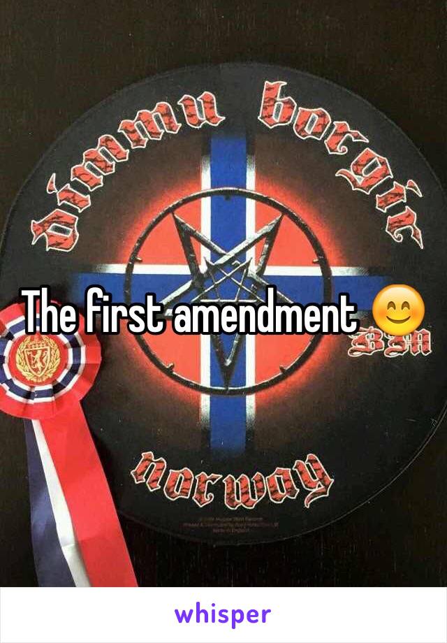 The first amendment 😊