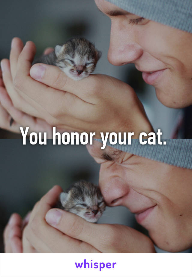 You honor your cat. 