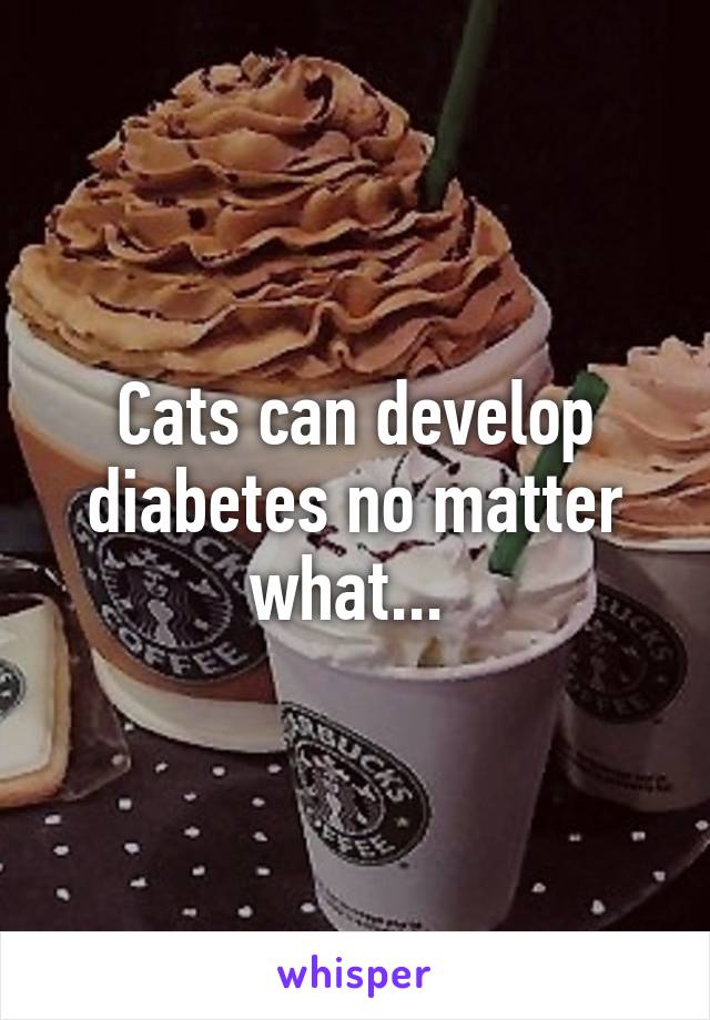 Cats can develop diabetes no matter what... 