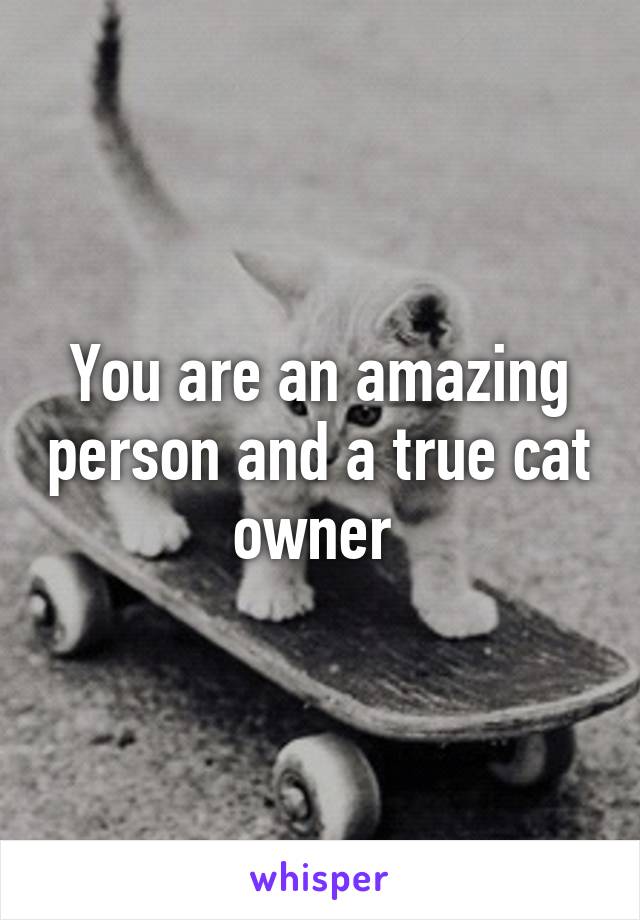 You are an amazing person and a true cat owner 