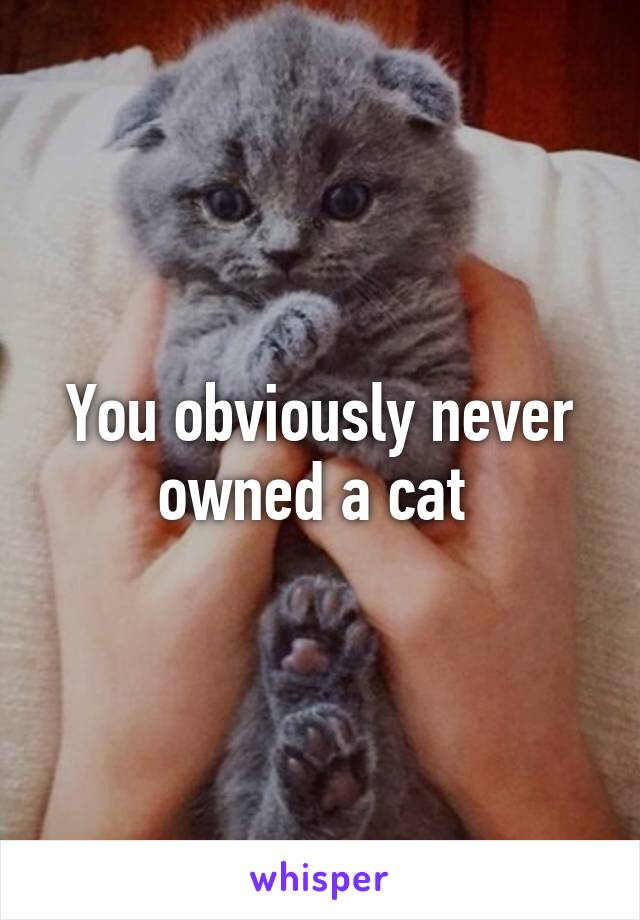 You obviously never owned a cat 