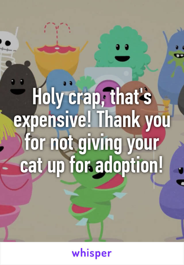 Holy crap, that's expensive! Thank you for not giving your cat up for adoption!