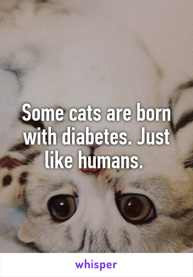 Some cats are born with diabetes. Just like humans. 