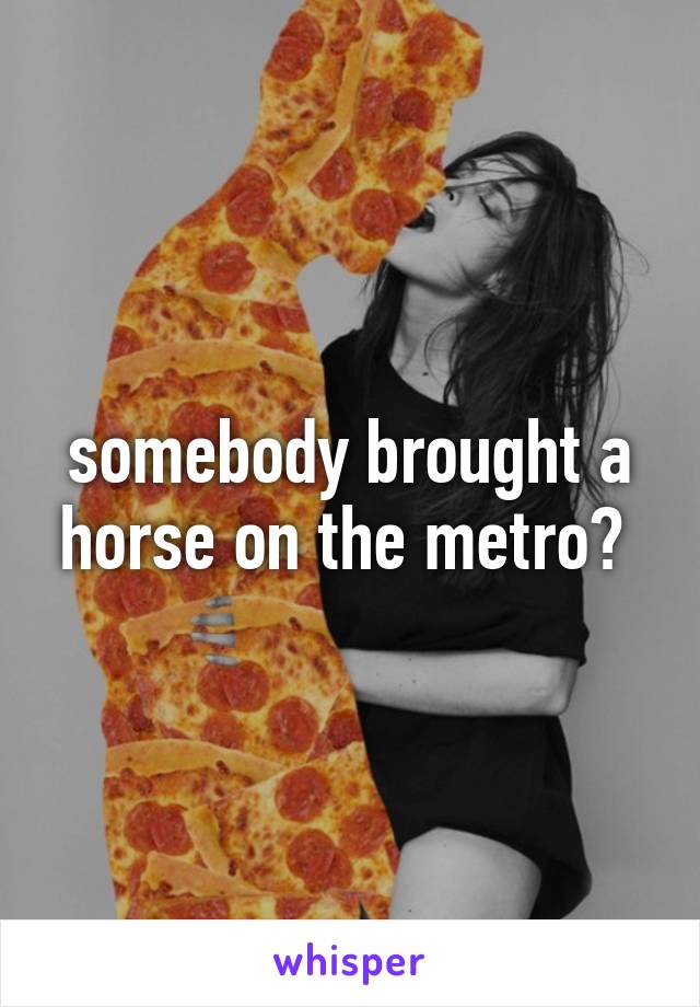 somebody brought a horse on the metro? 