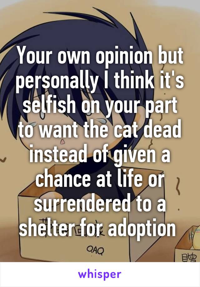 Your own opinion but personally I think it's selfish on your part to want the cat dead instead of given a chance at life or surrendered to a shelter for adoption 