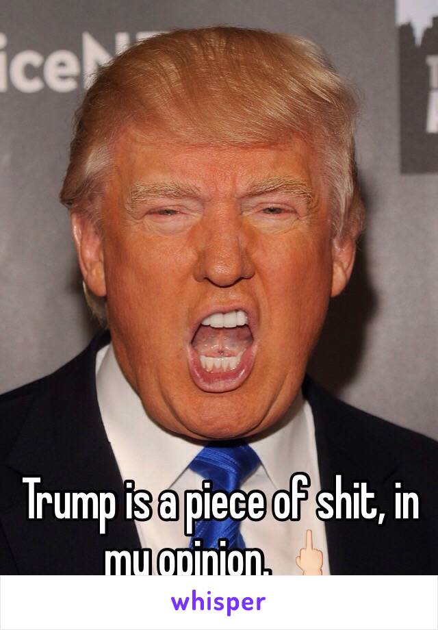 Trump is a piece of shit, in my opinion. 🖕🏻