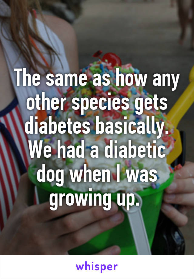 The same as how any other species gets diabetes basically. We had a diabetic dog when I was growing up. 