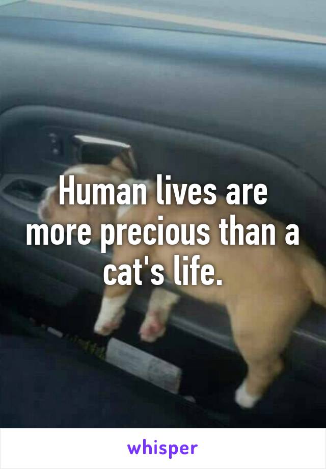 Human lives are more precious than a cat's life.