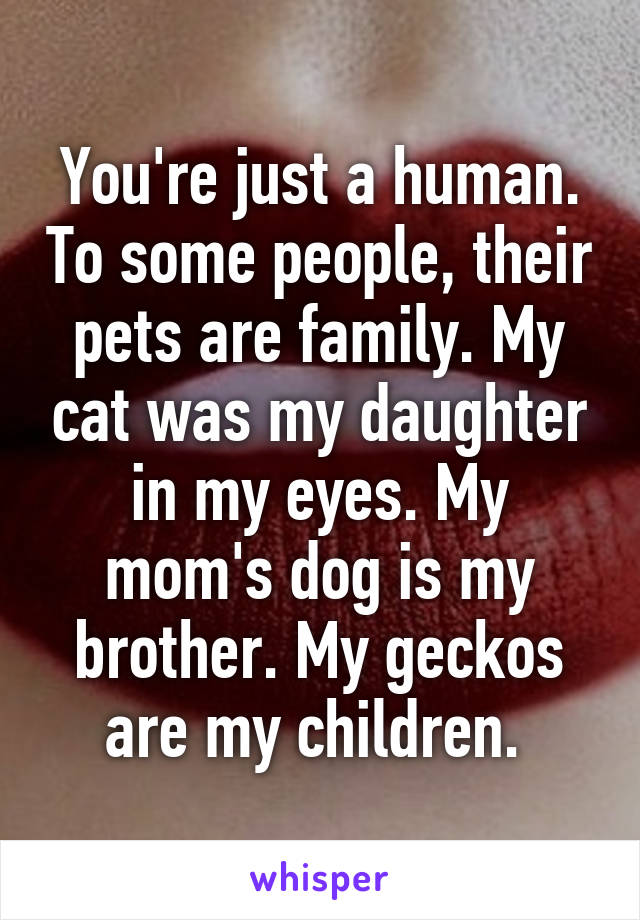 You're just a human. To some people, their pets are family. My cat was my daughter in my eyes. My mom's dog is my brother. My geckos are my children. 