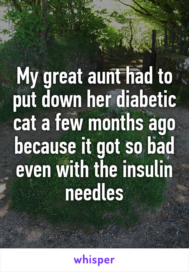 My great aunt had to put down her diabetic cat a few months ago because it got so bad even with the insulin needles