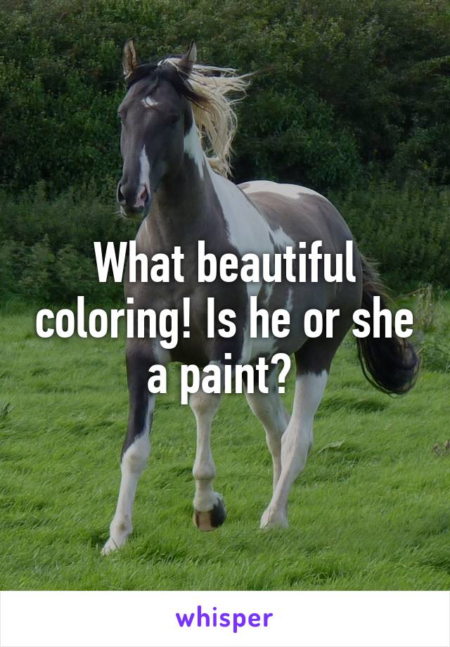 What beautiful coloring! Is he or she a paint? 