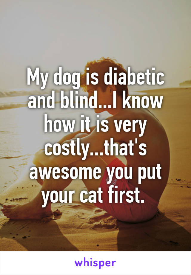 My dog is diabetic and blind...I know how it is very costly...that's awesome you put your cat first. 