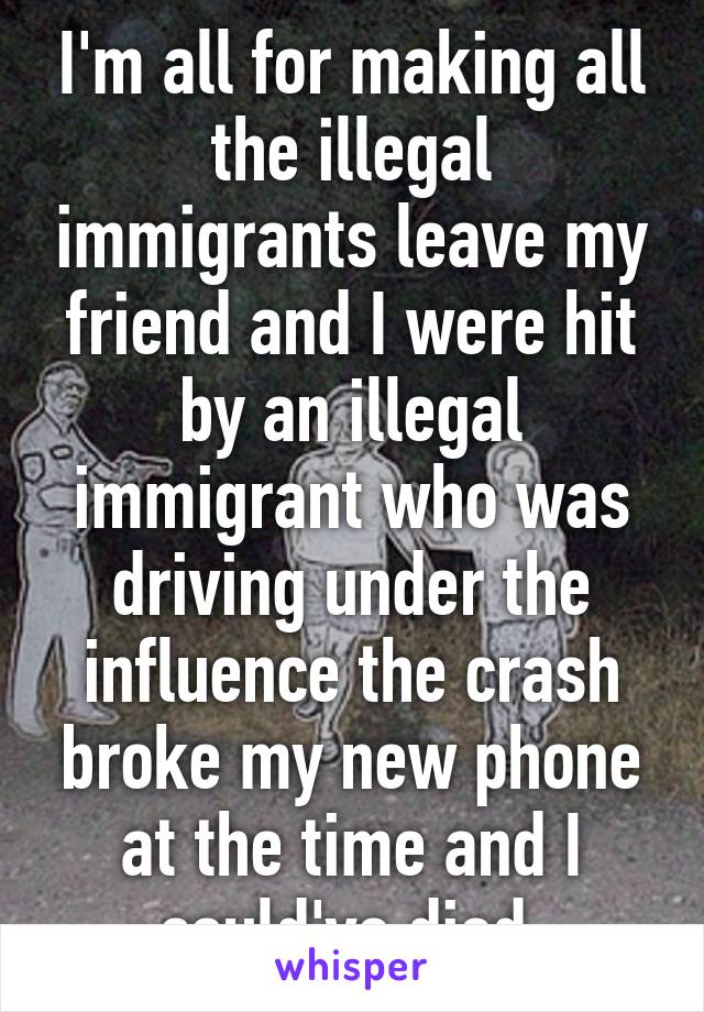 I'm all for making all the illegal immigrants leave my friend and I were hit by an illegal immigrant who was driving under the influence the crash broke my new phone at the time and I could've died 