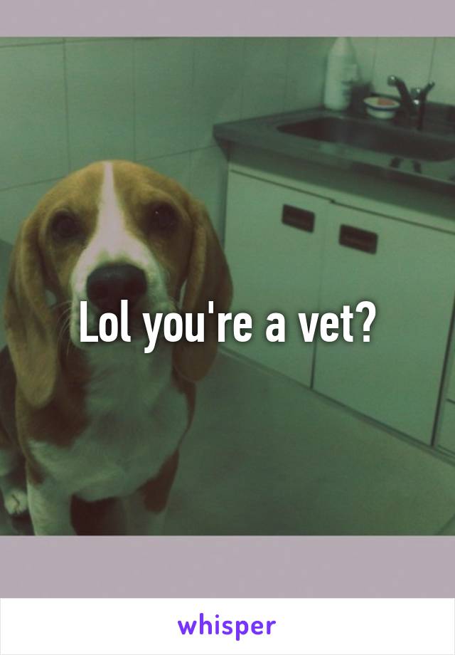 Lol you're a vet?