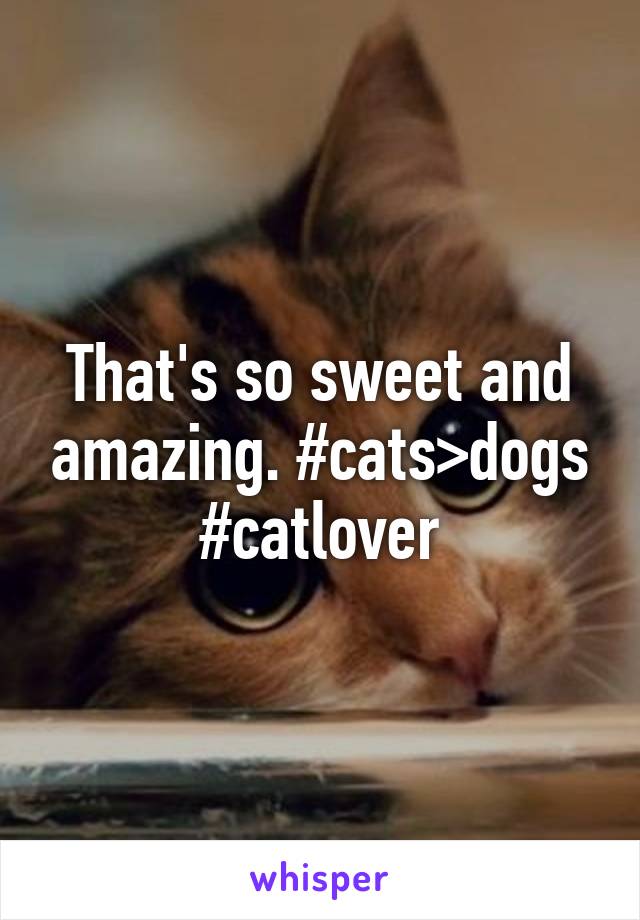 That's so sweet and amazing. #cats>dogs #catlover