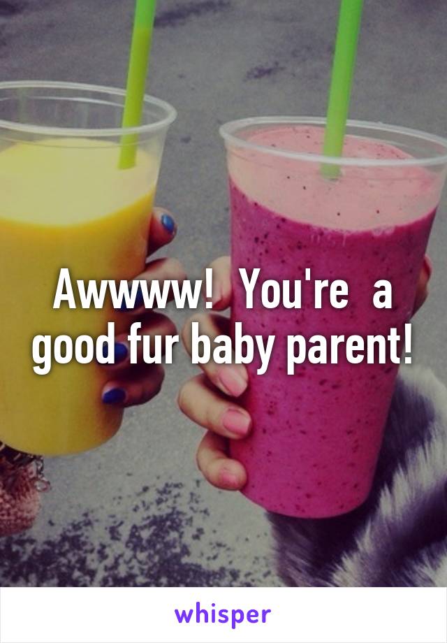 Awwww!  You're  a good fur baby parent!