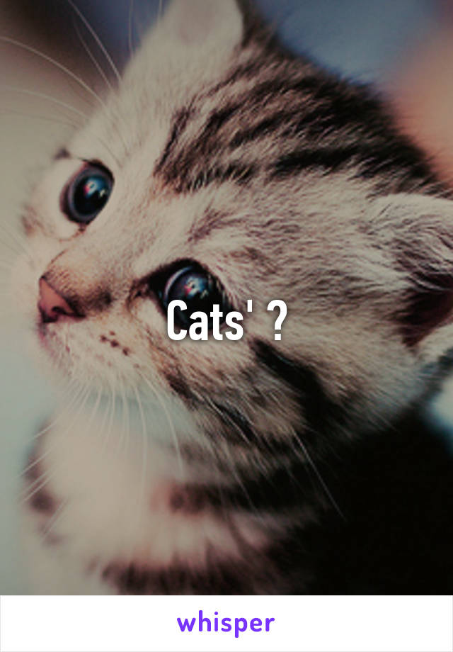 Cats' ?