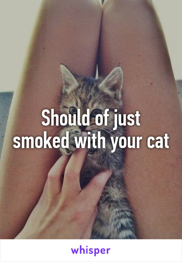 Should of just smoked with your cat