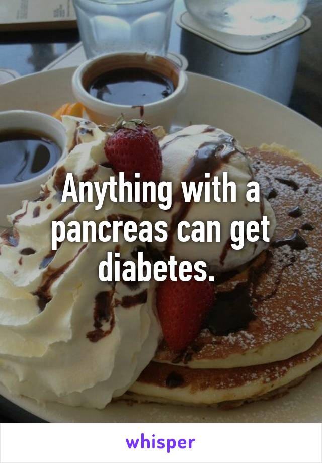 Anything with a pancreas can get diabetes. 