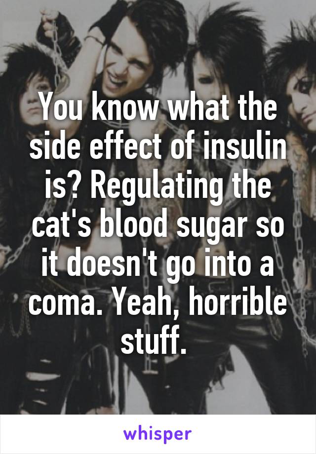 You know what the side effect of insulin is? Regulating the cat's blood sugar so it doesn't go into a coma. Yeah, horrible stuff. 