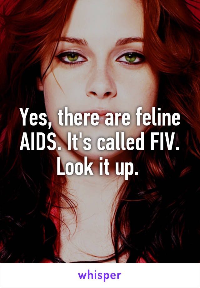 Yes, there are feline AIDS. It's called FIV. Look it up. 