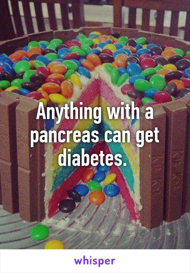 Anything with a pancreas can get diabetes. 