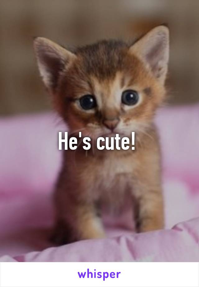 He's cute! 