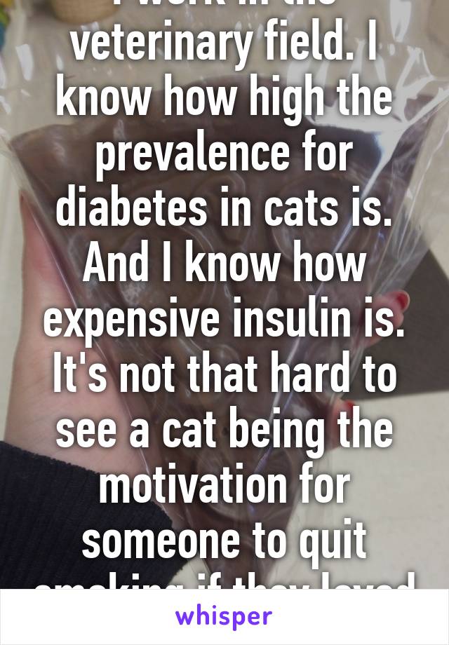 I work in the veterinary field. I know how high the prevalence for diabetes in cats is. And I know how expensive insulin is. It's not that hard to see a cat being the motivation for someone to quit smoking if they loved the animal deeply.