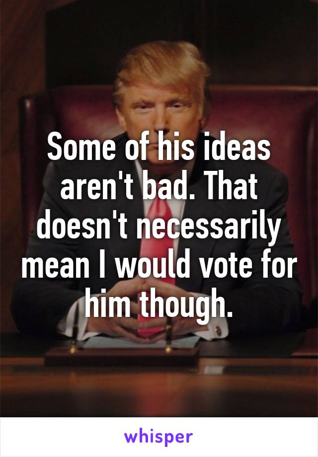 Some of his ideas aren't bad. That doesn't necessarily mean I would vote for him though.