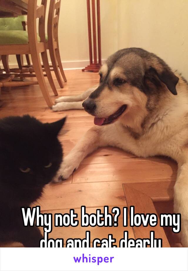 Why not both? I love my dog and cat dearly