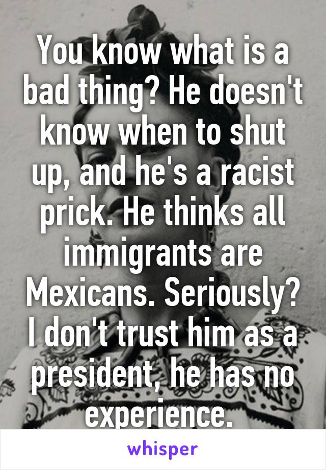 You know what is a bad thing? He doesn't know when to shut up, and he's a racist prick. He thinks all immigrants are Mexicans. Seriously? I don't trust him as a president, he has no experience. 