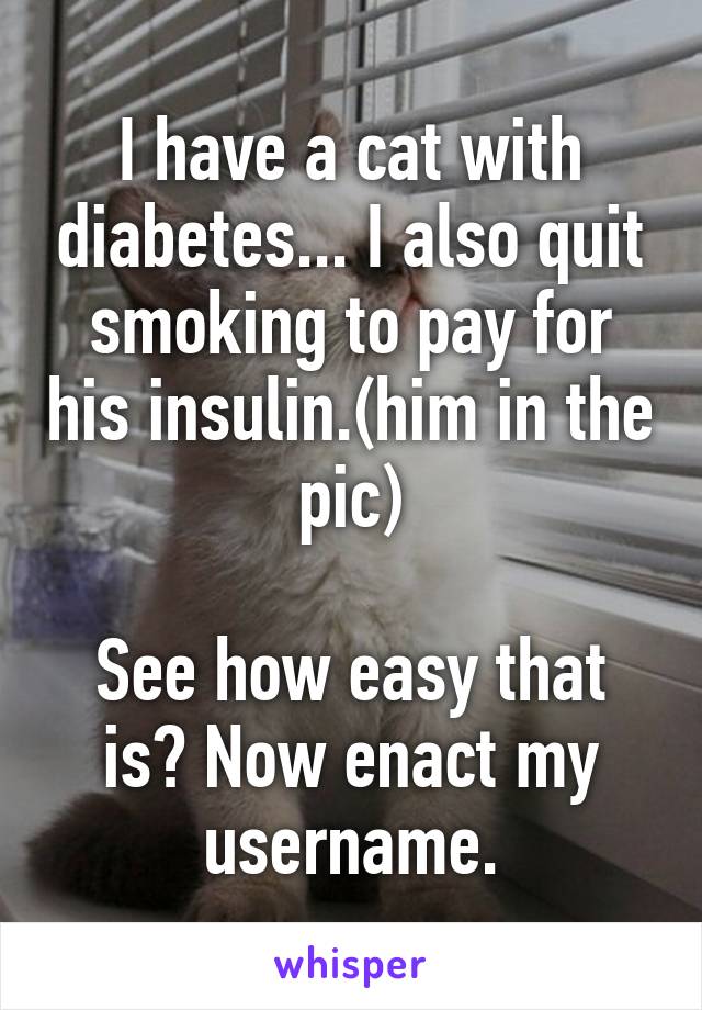 I have a cat with diabetes... I also quit smoking to pay for his insulin.(him in the pic)

See how easy that is? Now enact my username.