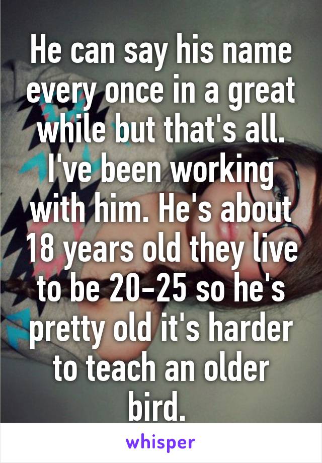 He can say his name every once in a great while but that's all. I've been working with him. He's about 18 years old they live to be 20-25 so he's pretty old it's harder to teach an older bird. 