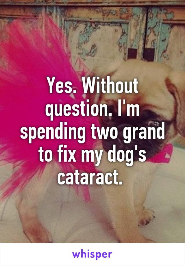 Yes. Without question. I'm spending two grand to fix my dog's cataract. 