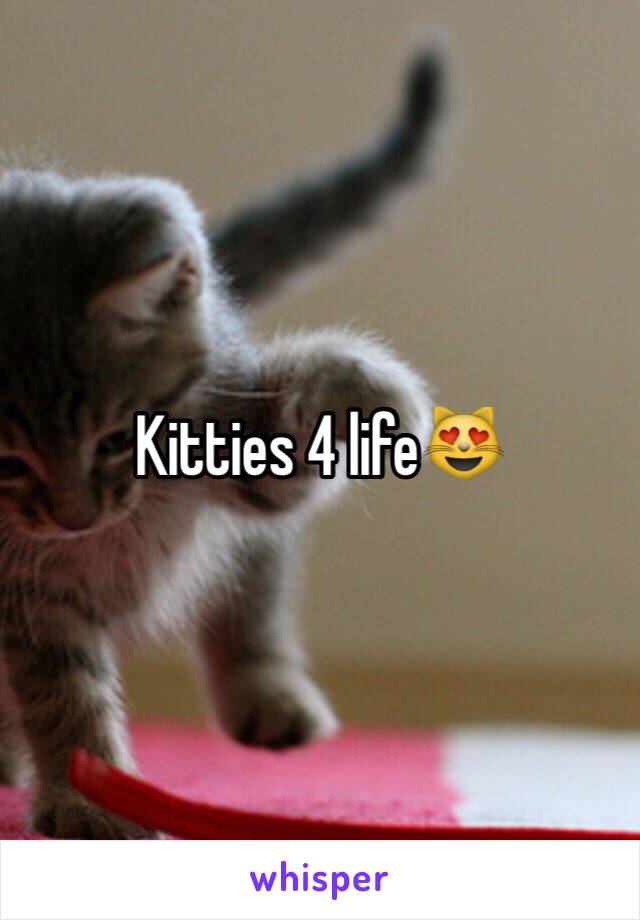 Kitties 4 life😻