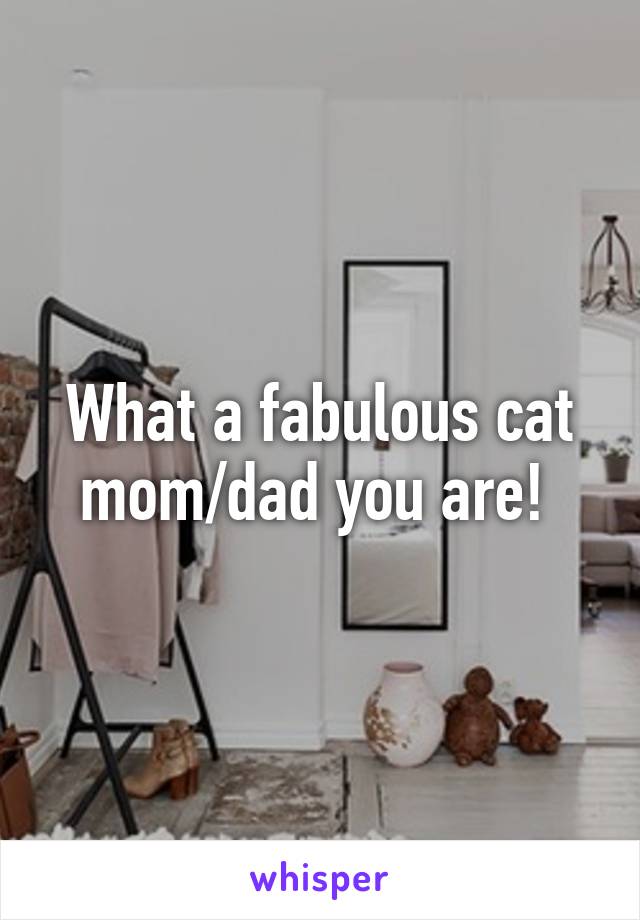 What a fabulous cat mom/dad you are! 