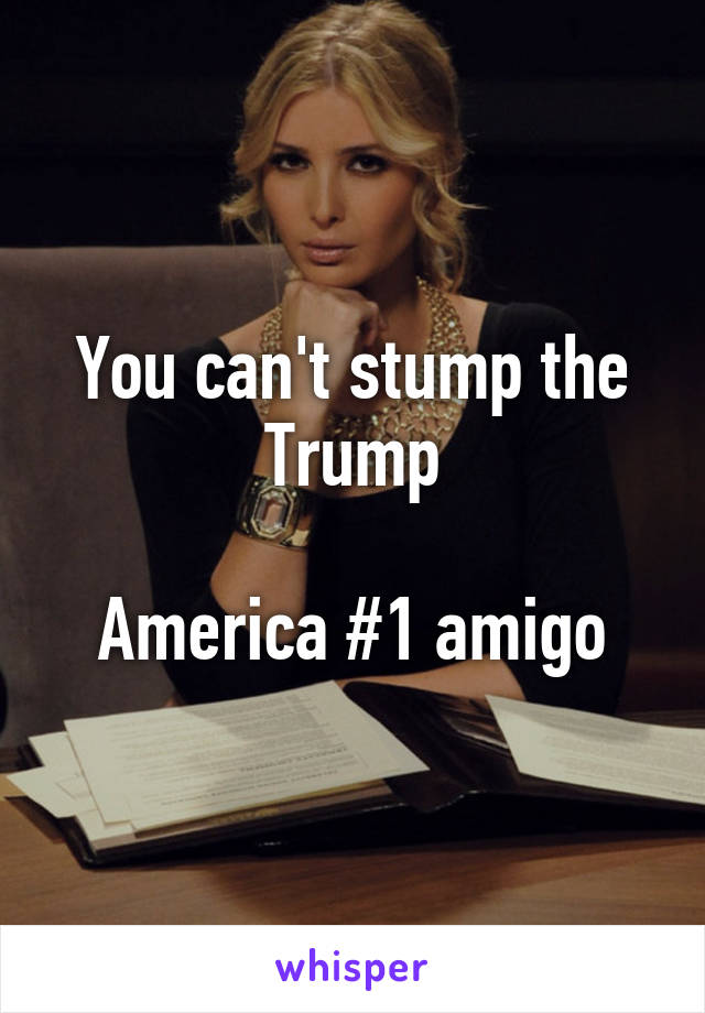 You can't stump the Trump

America #1 amigo