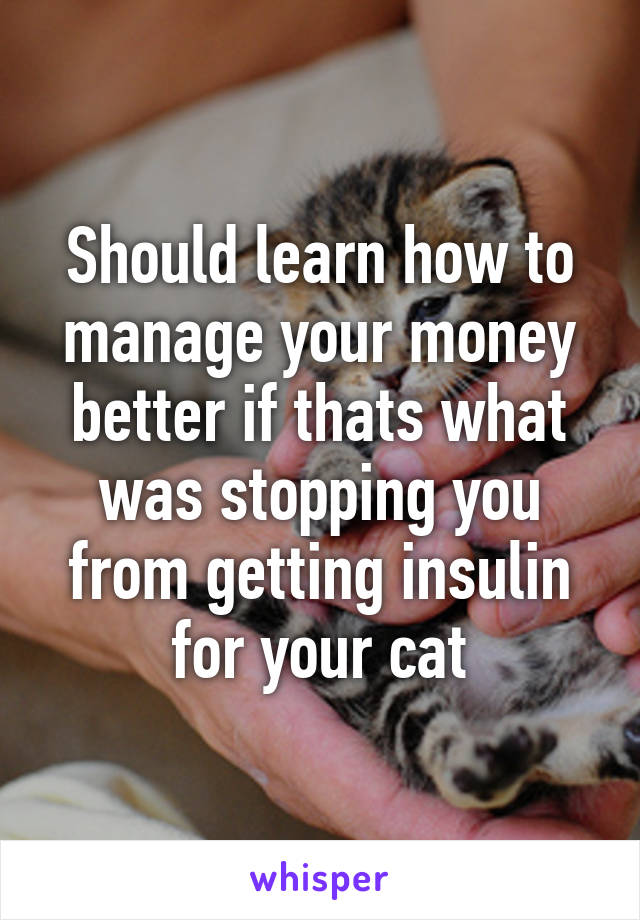 Should learn how to manage your money better if thats what was stopping you from getting insulin for your cat