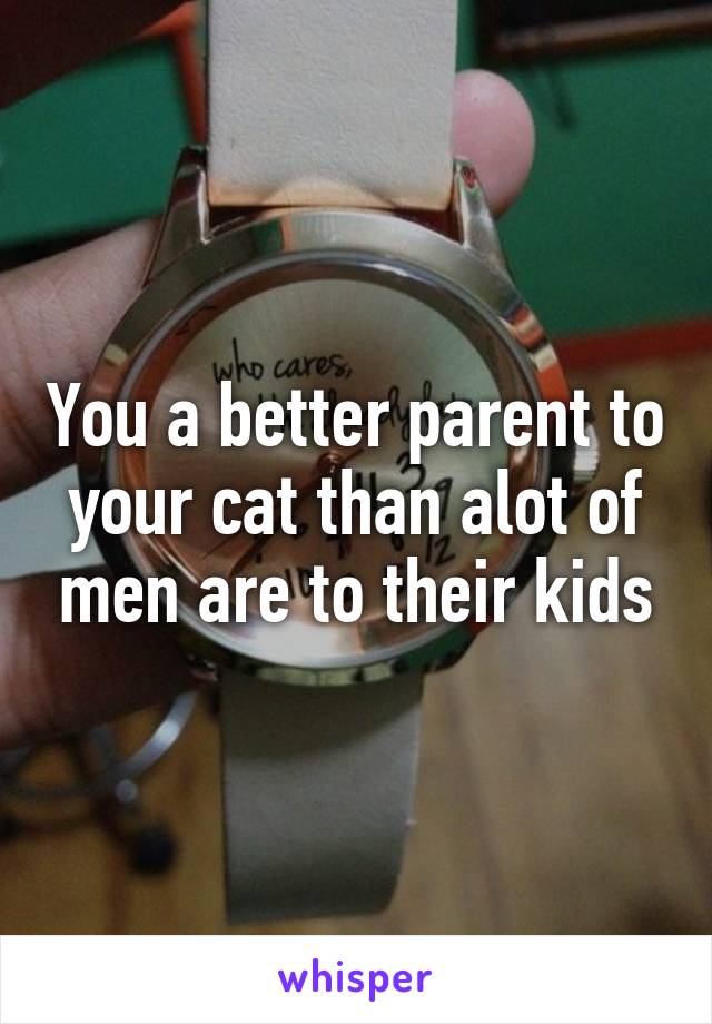 You a better parent to your cat than alot of men are to their kids