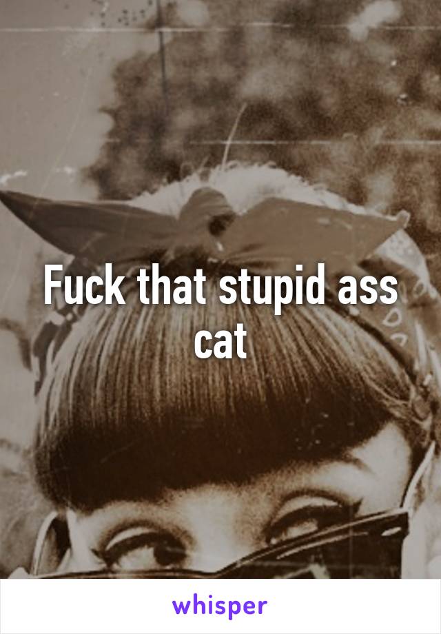 Fuck that stupid ass cat