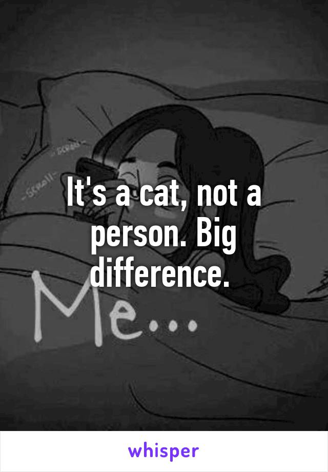 It's a cat, not a person. Big difference. 