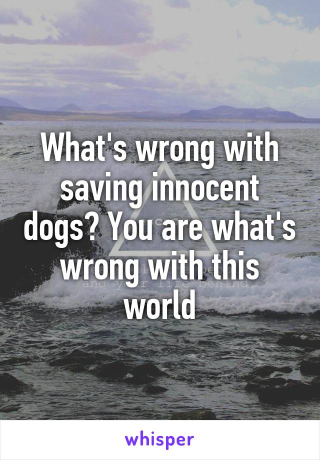 What's wrong with saving innocent dogs? You are what's wrong with this world