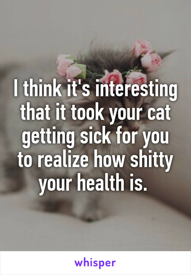 I think it's interesting that it took your cat getting sick for you to realize how shitty your health is. 