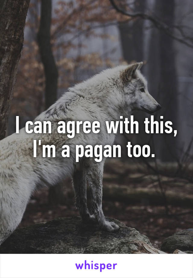 I can agree with this, I'm a pagan too. 