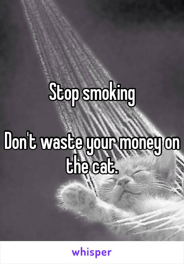 Stop smoking

Don't waste your money on the cat.