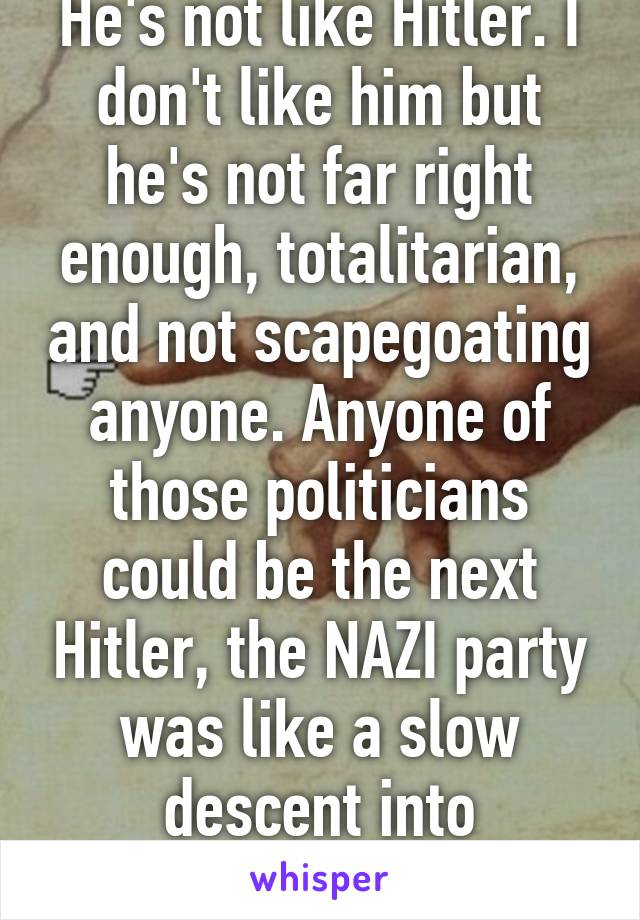 He's not like Hitler. I don't like him but he's not far right enough, totalitarian, and not scapegoating anyone. Anyone of those politicians could be the next Hitler, the NAZI party was like a slow descent into madness. 