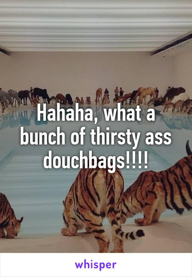 Hahaha, what a bunch of thirsty ass douchbags!!!!