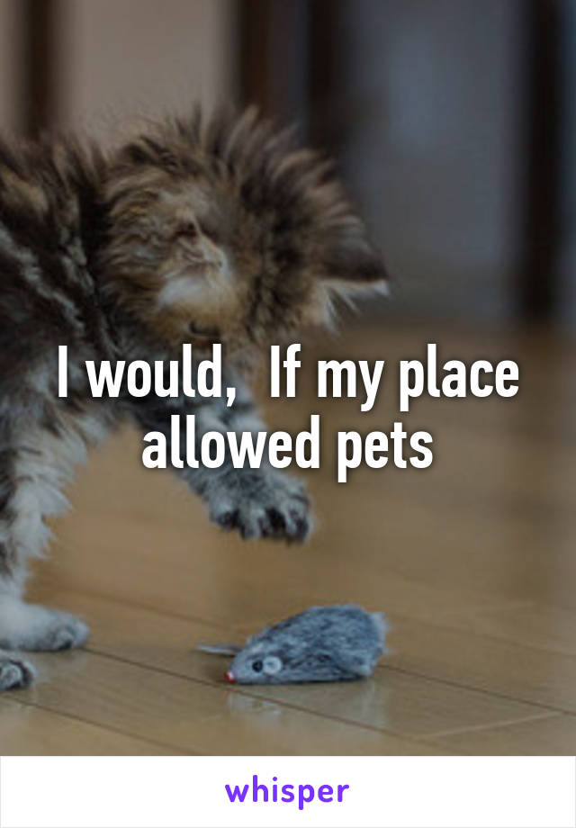 I would,  If my place allowed pets