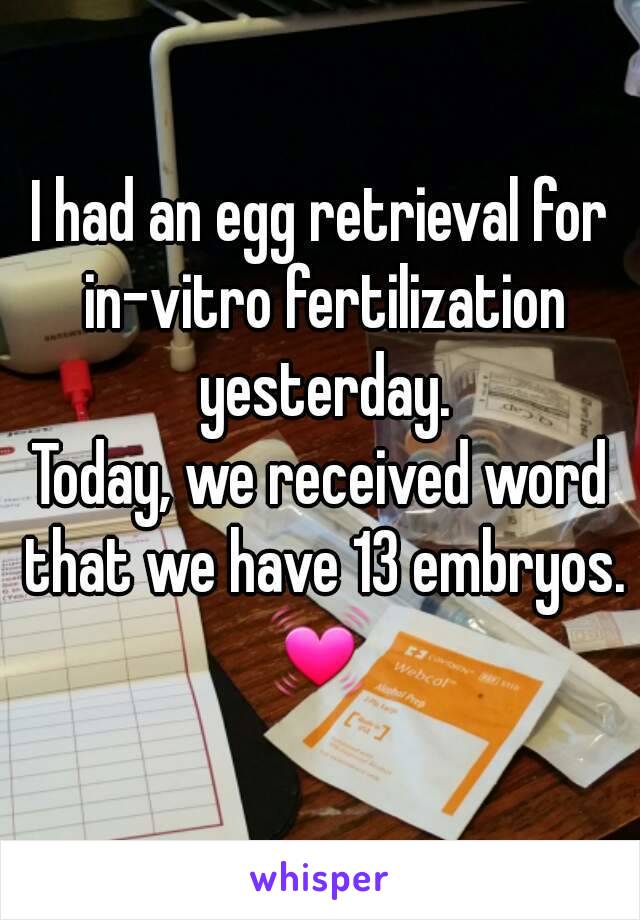I had an egg retrieval for in-vitro fertilization yesterday.
Today, we received word that we have 13 embryos.
💓