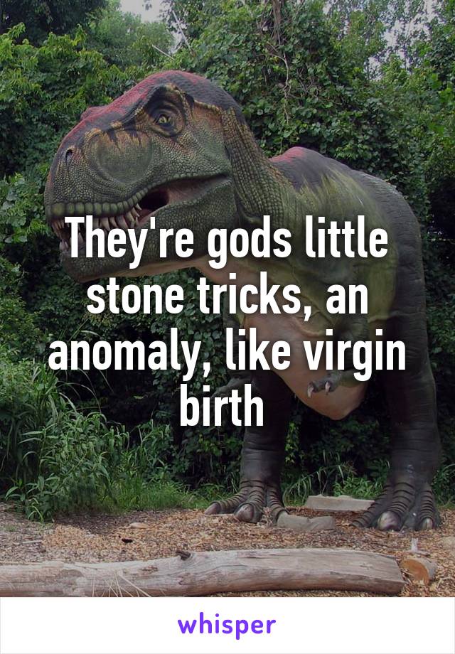 They're gods little stone tricks, an anomaly, like virgin birth 